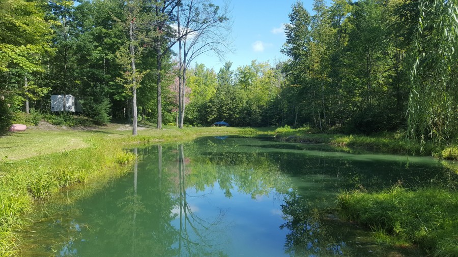 4851 Wixom Dr, Beaverton, MI 48612 is For Sale By Owner Reozom