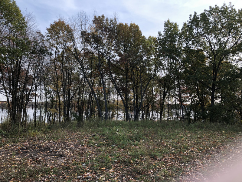 11699 Big Lake Rd Parcel B1, Davisburg, MI 48350 is For Sale By Owner